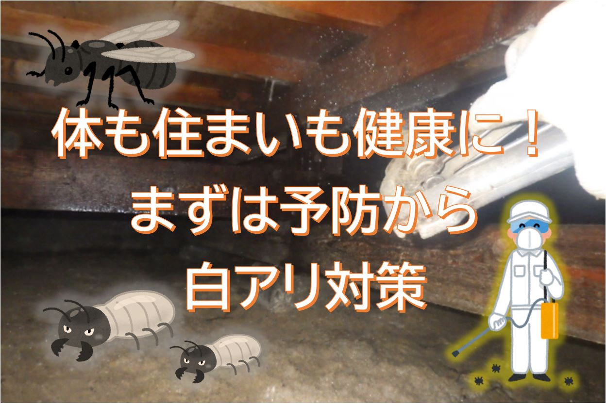 体も住まいも健康に まずは予防から 白アリ対策 Yellhouse