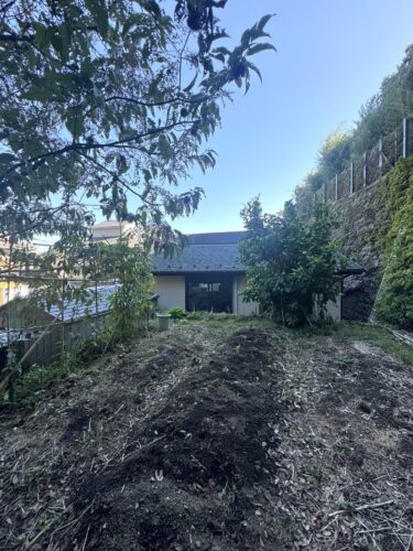 こども食堂とレモンの木